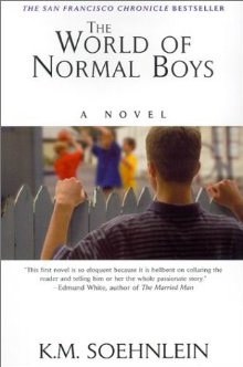 The-world-of-normal-boys-book